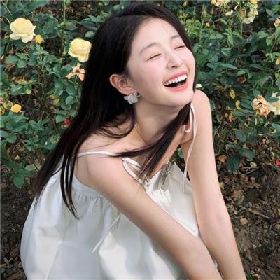 爱尔兰的弗兰克